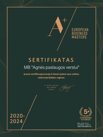 A+ European Business Masters 2020-2024